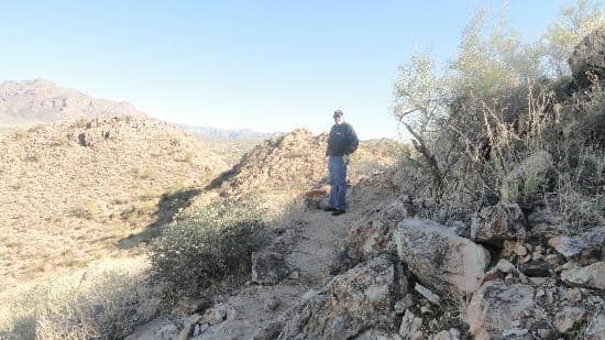 Wildflower Superblooms