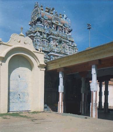 Temple Elephant Blessings