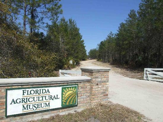 Meet the Farm Animals