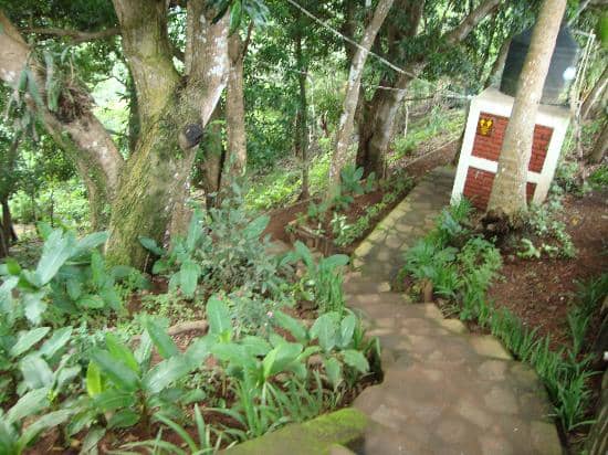 The 'Little Rock' Photo Spot