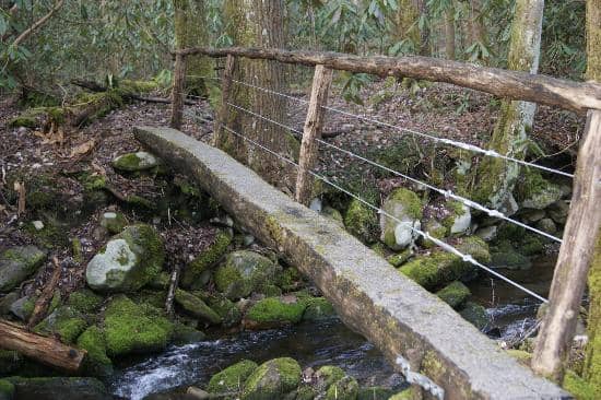 Cosby Self-Guided Trail