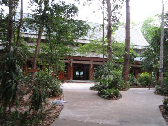 Daily Meditation and Chanting