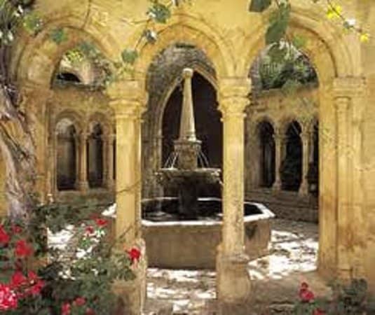 The Cathedral of Vines