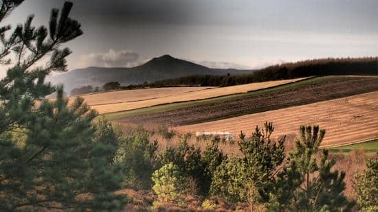 Bennachie Hidden Waterfall