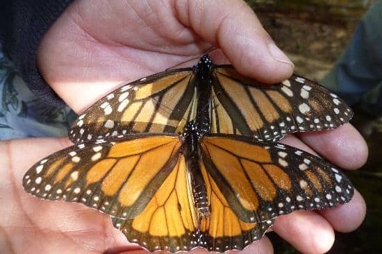 Scenic Mountain Hike