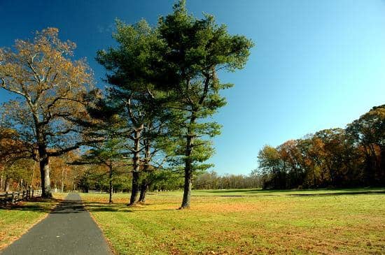 The Historic Village at Allaire