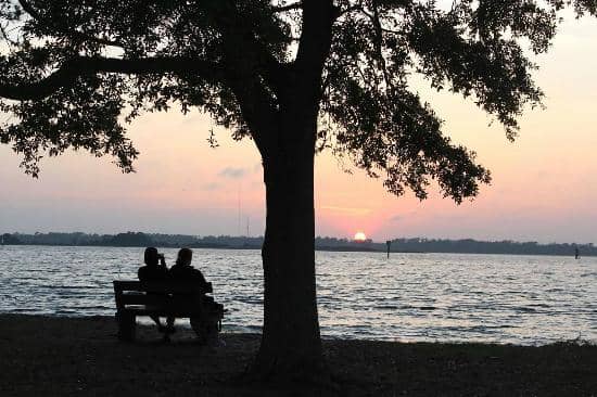 Marina & Kayak Rentals