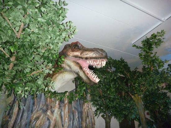 World Cultures Exhibit