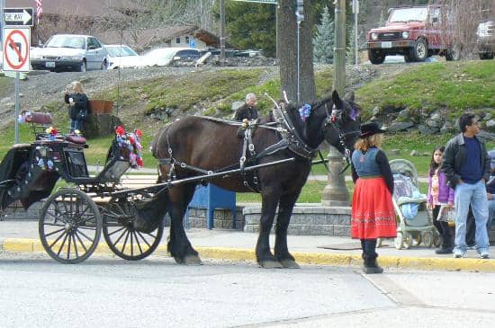 Winter Sports Club Activities