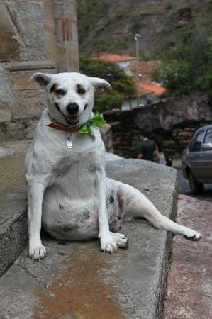 Museum of Sacred Art