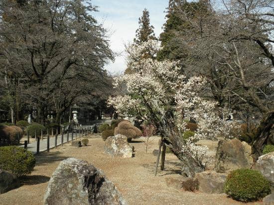 Samurai Artifacts Museum