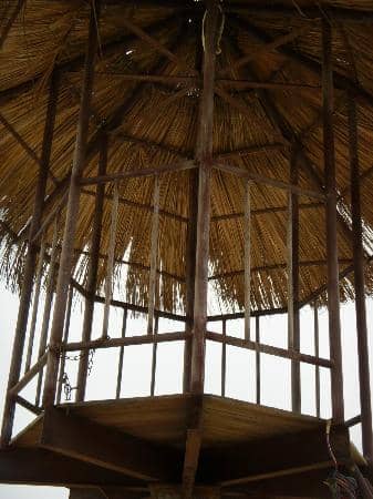 The Endless Shoreline