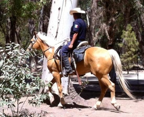 Cerro de los Remedios Stairs