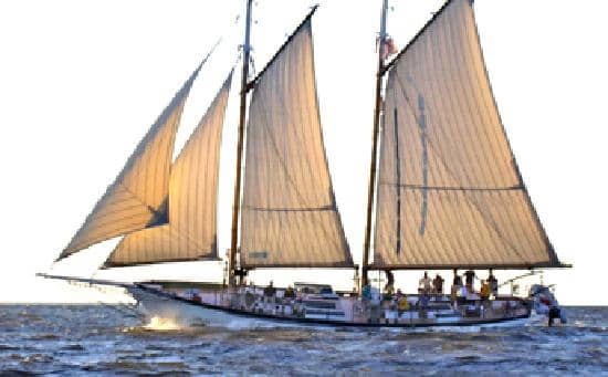 Meet the Dedicated Crew