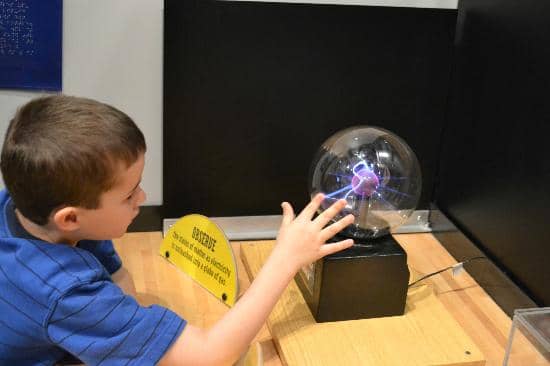 Shark & Otter Exhibits