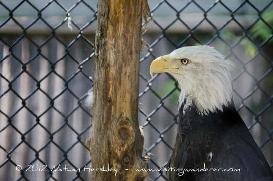 Diverse Natural Habitats