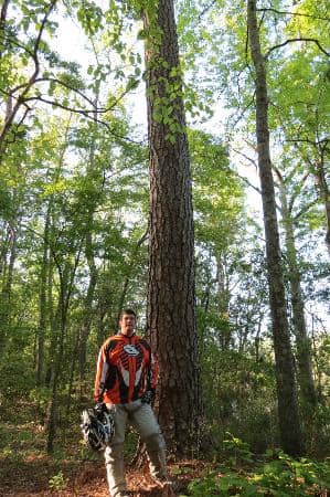 Coastal Bogs and Estuaries