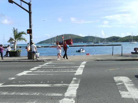 Asian Culinary Delights