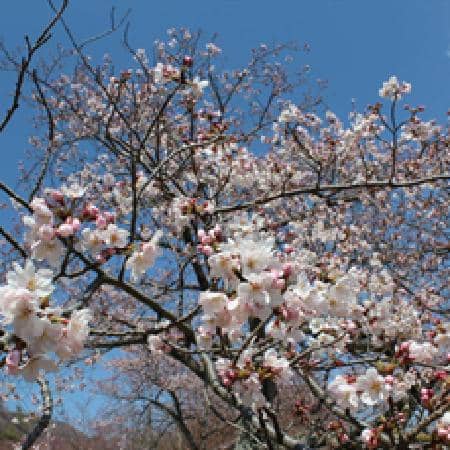 Charming Roadside Shops