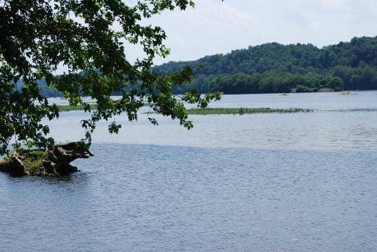 Mountain Biking Trails