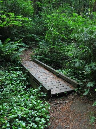 Scenic Trails & Open Fields