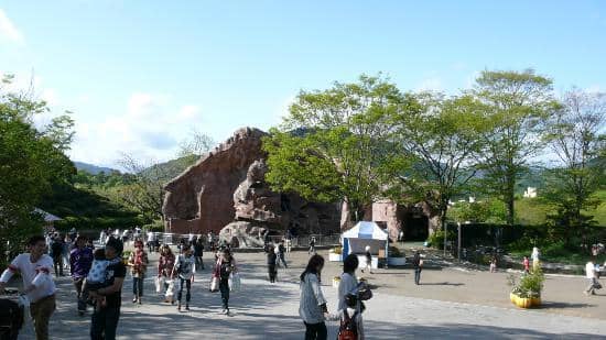 Gentle Giants: Elephants