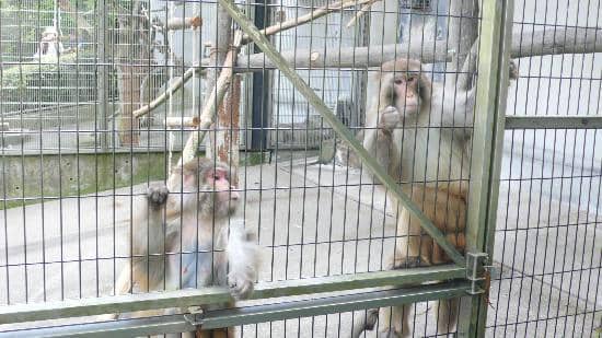 Vibrant Reptile House