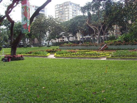 Art Exhibitions