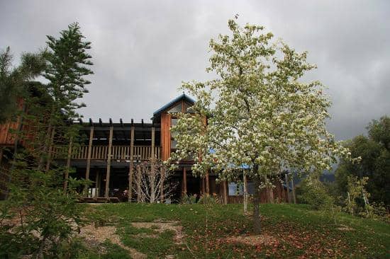 Native American Pottery Collection