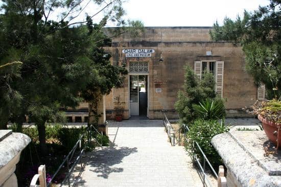 Peaceful Outdoor Garden