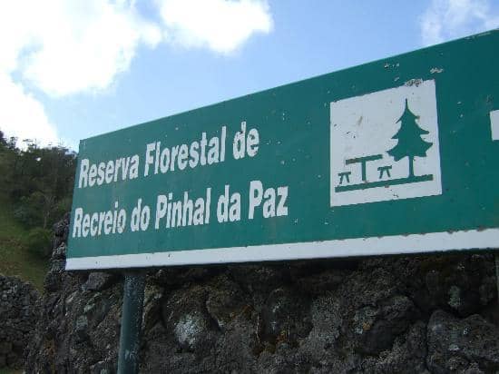 Picnic & BBQ Facilities