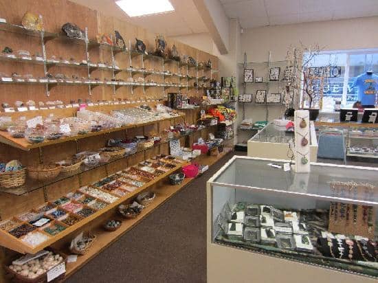 Dinosaur Bones & Fossils