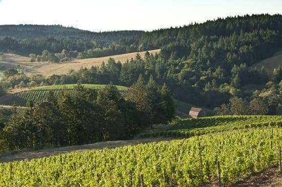 Stunning Bald Peak Views