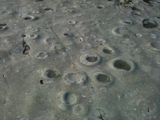 Black Ven Beach Exploration