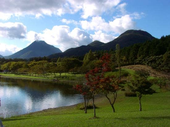 Paddle Boat Adventures