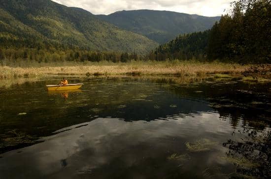The Three-Story Treehouse