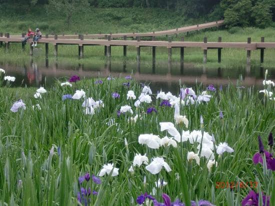 Scenic Mountain Views