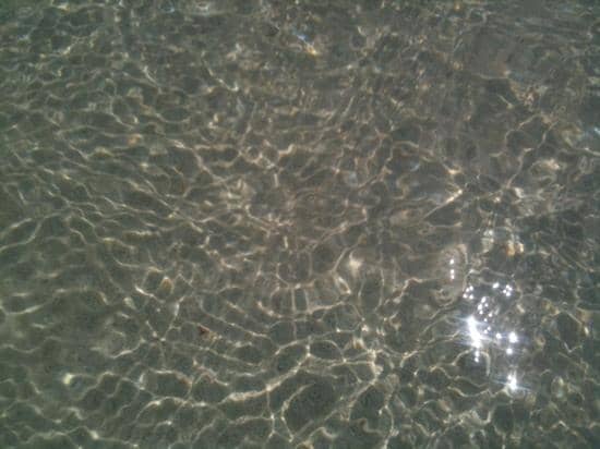 Bird Watching Hotspots