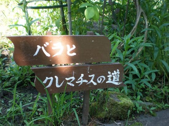 Hidaka Mountain Views