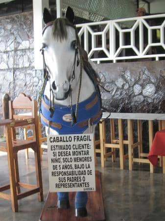 Michelin-Worthy Flavors