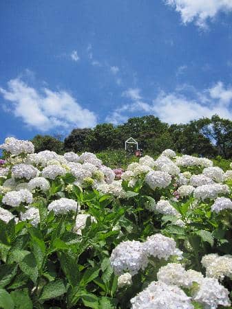 Nighttime Illumination