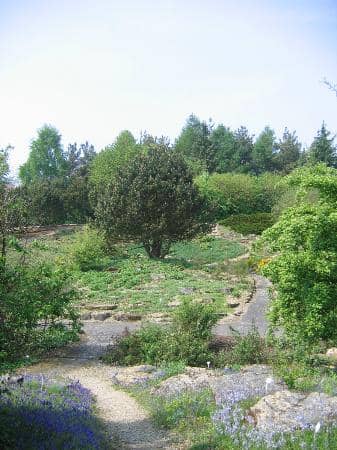 Expansive Outdoor Gardens