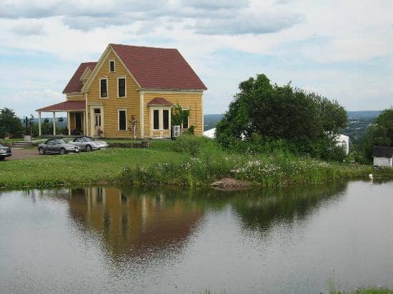 Wine Tasting Experience