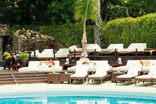 Bali-Inspired Ambiance