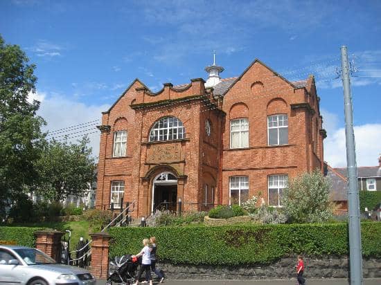 Unique Model Monkey Collection