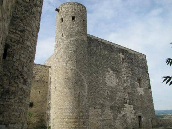 Farm Animal Encounters