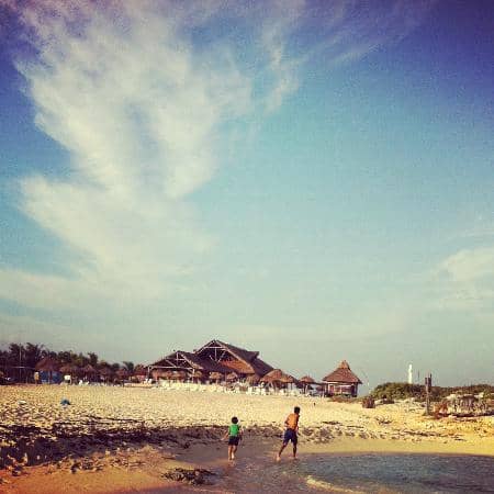 Volcanic Lava Fields