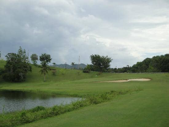 The Caddies' Expertise