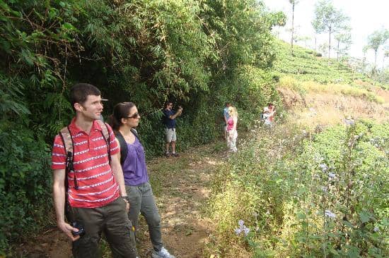 Photographer's Paradise