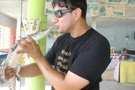 Diverse Crocodile Collection